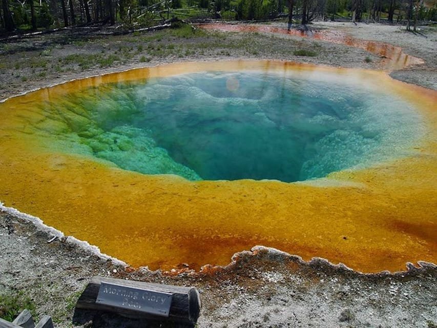 Yellowstone Ouest : Excursion d'une journée à Yellowstone avec droit d'entrée